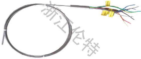 單支多點(diǎn)熱電偶